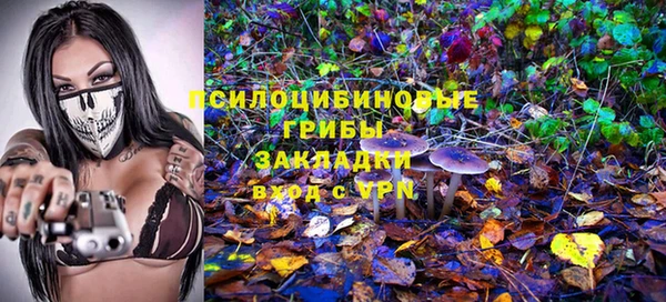 амф Балахна