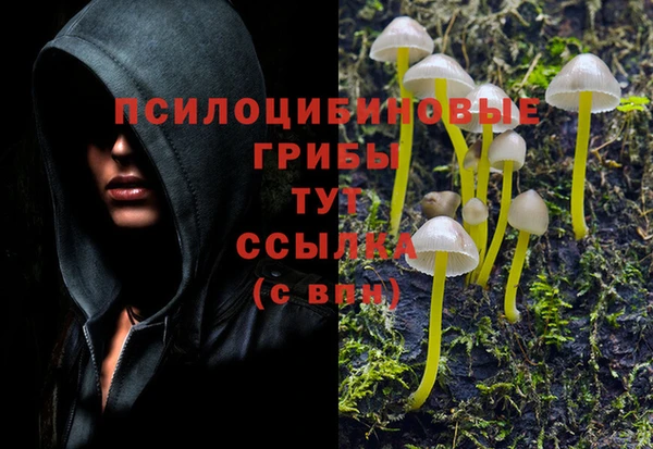 амф Балахна