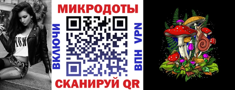 купить наркотики цена Усть-Джегута Псилоцибиновые грибы Psilocybe